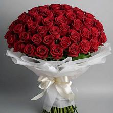 Букет 101 Красная роза Блэк Мэджик в Тасеево
