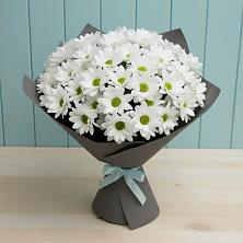 Букет цветов из:  Хризантемы в Тасеево