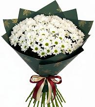 Букет цветов из:  Хризантемы в Тасеево