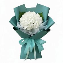 Букет цветов из:  Гортензия #REPLACE_PRED# Тасеево